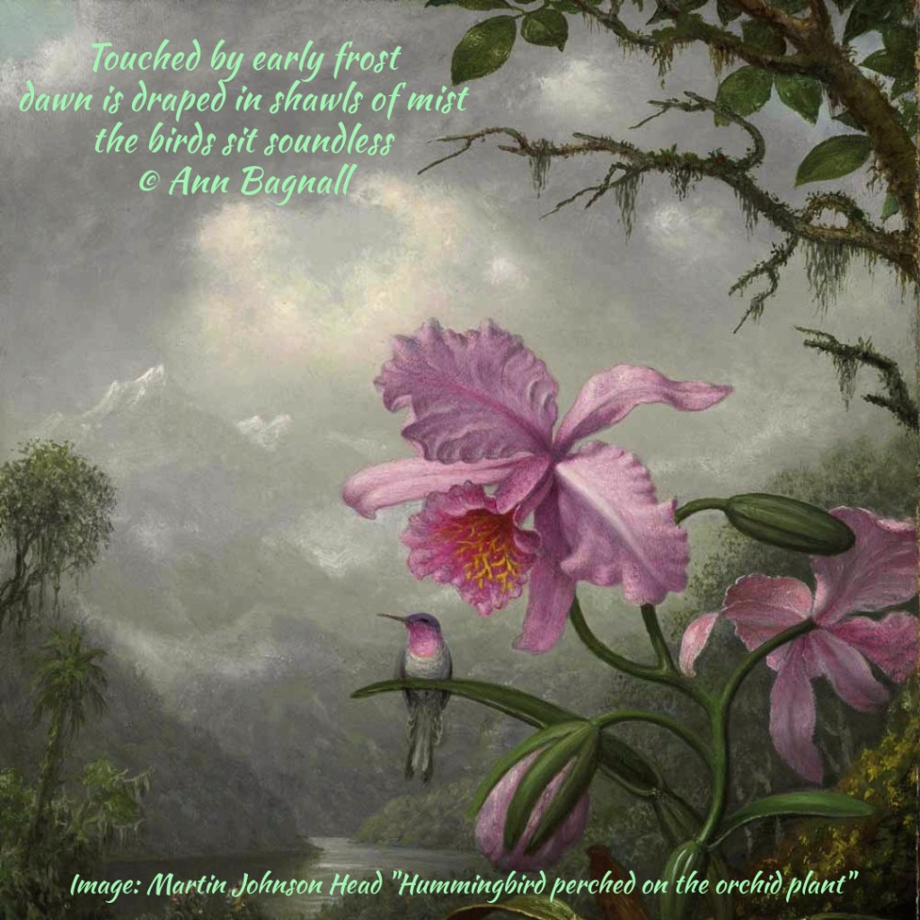 Image: Martin Johnson Heade "Hummingbird perched on the orchid plant"