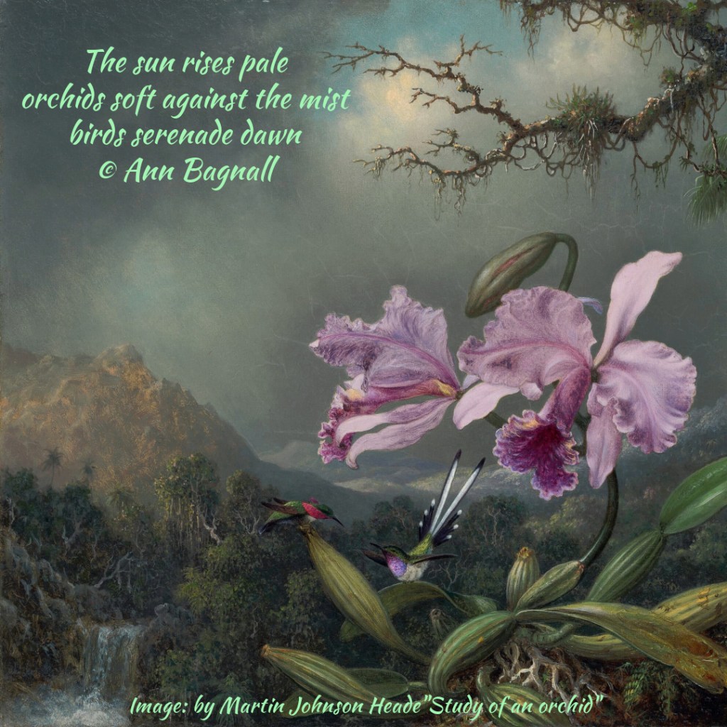 Image: Martin Johnson Heade "Study of and orchid"